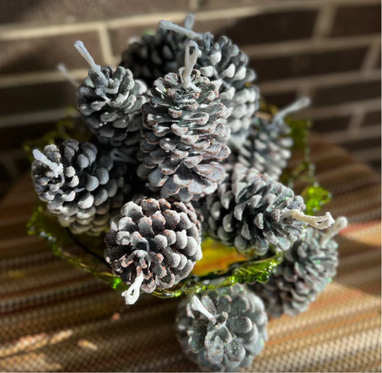 Scented Pinecone Fire Starters