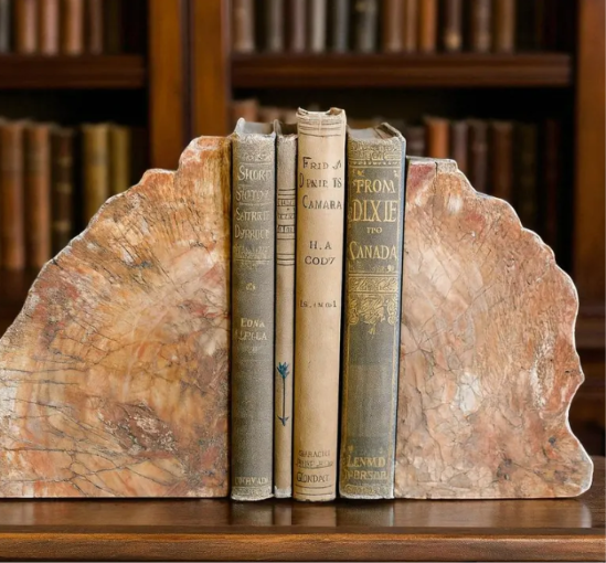 Petrified Wood Heavy Bookends